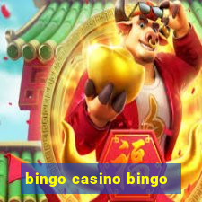 bingo casino bingo