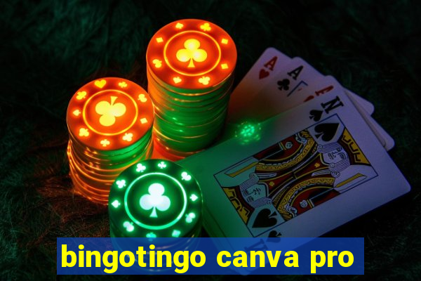 bingotingo canva pro