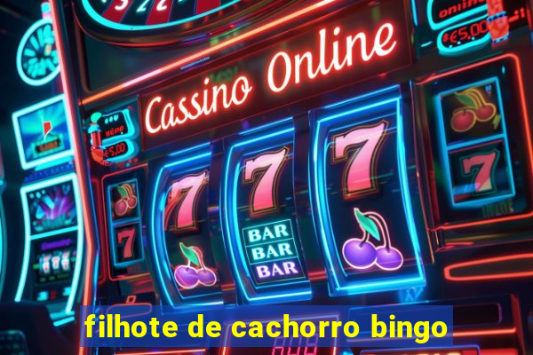 filhote de cachorro bingo