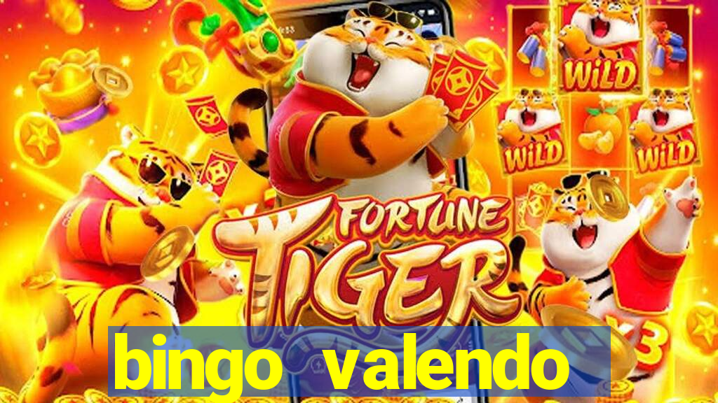 bingo valendo dinheiro online